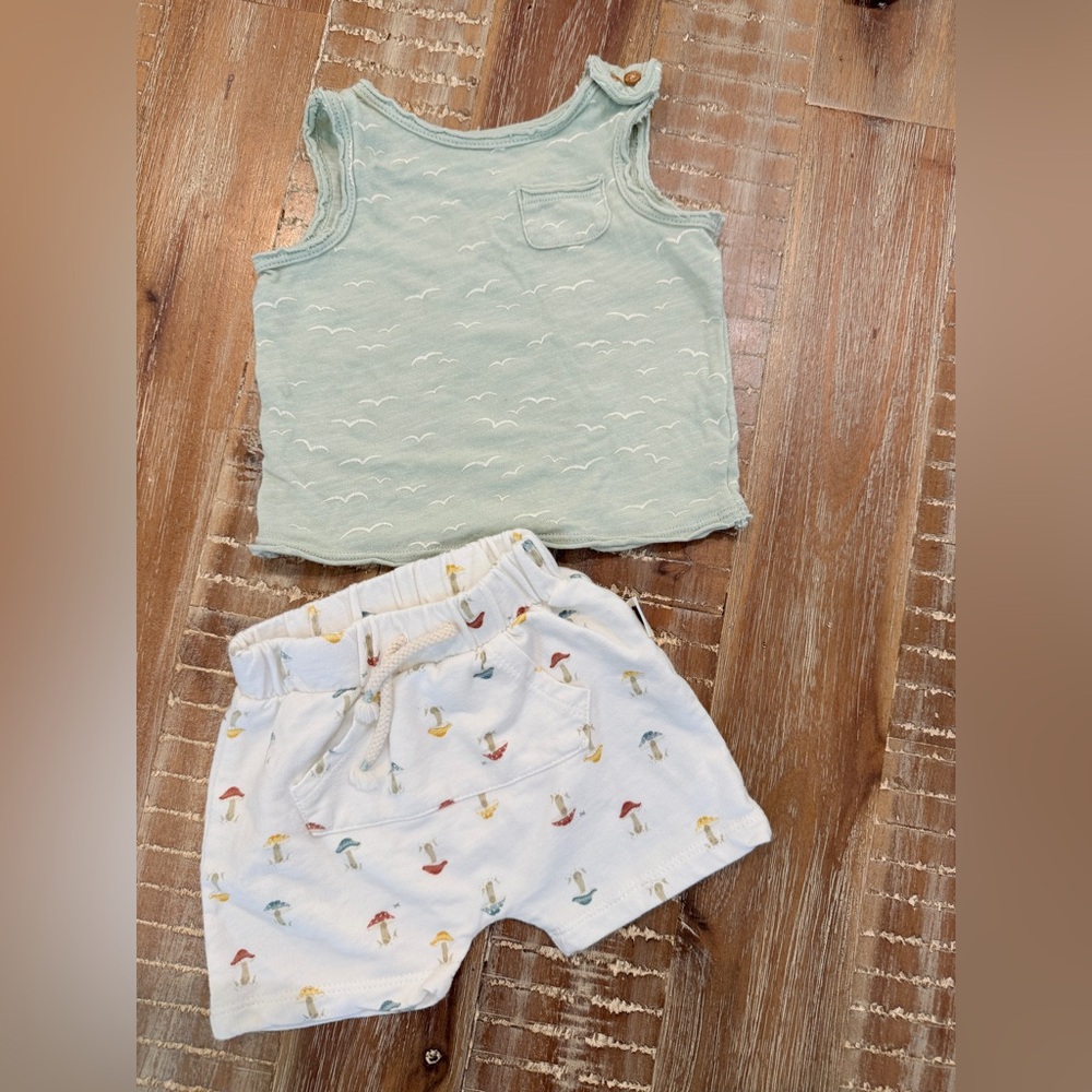 Rabbit Bear & Grayson Collective outfit 3-6m